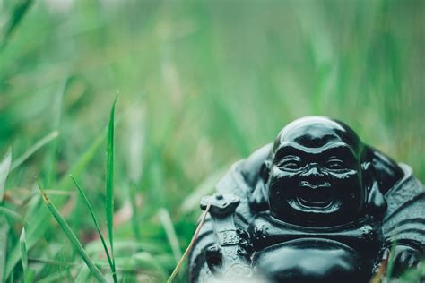  Haripunchai Buddha - En mystisk smil och stenig meditativ lugn!